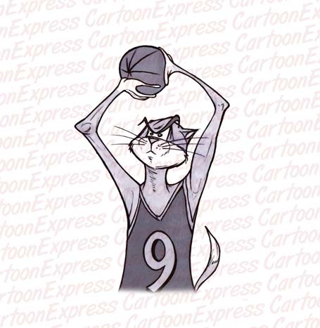 cat basketball